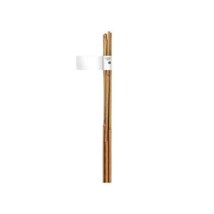 140832-tuteur-pour-plante-bambou-naturel-gencode-nortene-x4-naturel-0-9-m