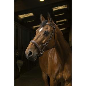 301889318-bridons-equitation-norton-pro-side-pull-havane-argente-cheval