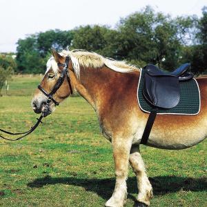 111025002-selle-equitation-pour-club-cheval-de-trait-norton-noir-18