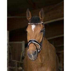 301891-bridon-equitation-norton-pro-bella-noir