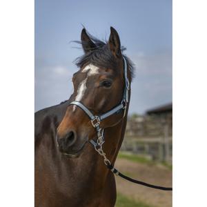 510244209-licol-pour-cheval-en-nylon-doux-norton-vert-fonce