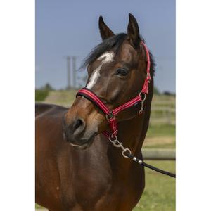 510246103-licol-pour-cheval-4-lignes-norton-rouge