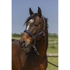 510246007-licol-pour-cheval-4-lignes-norton-marine
