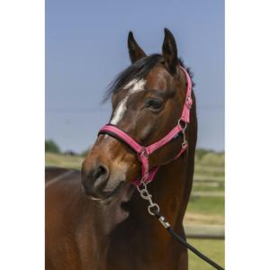 510246006-licol-pour-cheval-4-lignes-norton-vieux-rose
