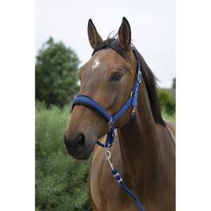 510249206-ensemble-licol-et-longe-pour-cheval-large-norton-bleu