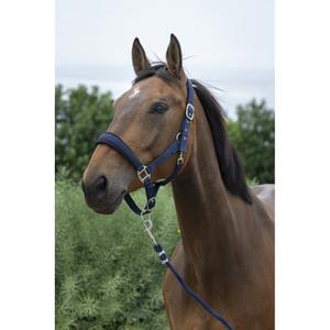 510249207-ensemble-licol-et-longe-pour-cheval-large-norton-marine