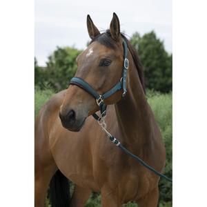 510249209-ensemble-licol-et-longe-pour-cheval-large-norton-vert-fonce