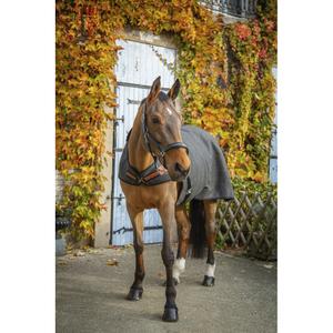 product/p/a/paddock-sports_400029166_gris-chine_2.jpg