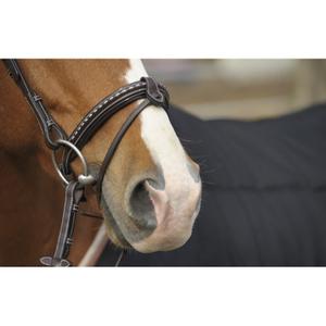 product/p/e/penelope-leprevost_9002.jpg