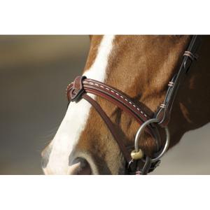 product/p/e/penelope-leprevost_9005.jpg