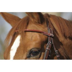 product/p/e/penelope-leprevost_9007.jpg