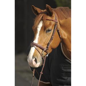 product/p/e/penelope-leprevost_9008.jpg