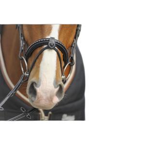 product/p/e/penelope_301600_mag4439954_2.jpg