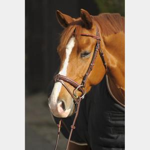 product/p/e/penelope_301600_mag4439957_4.jpg