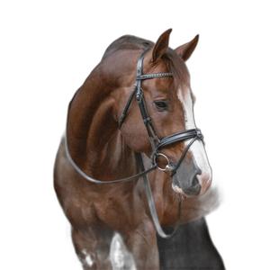 301602202-bridons-equitation-penelope-daily-noir