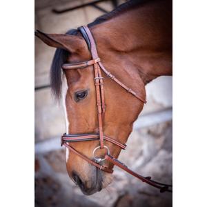 301603317-bridons-equitation-penelope-us-noisette-tu