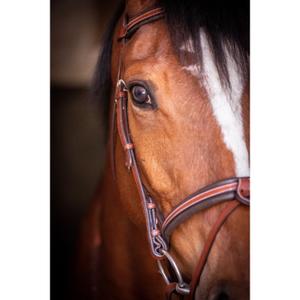 product/p/e/penelope_301603317_04.jpg