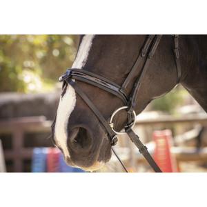 product/p/e/penelope_301604202_noir_6.jpg