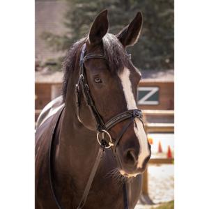 301604218-bridons-equitation-penelope-smoothie-noir-noir