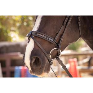 product/p/e/penelope_301_604_302_det2.jpg