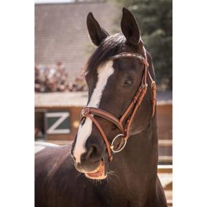 301604214-bridons-equitation-penelope-smoothie-pearl-cognac