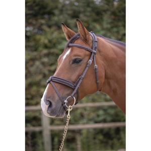 301605318-bridons-equitation-penelope-elegance-havane