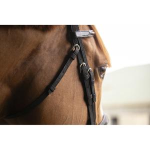 301608202-bridons-equitation-penelope-oxford-noir