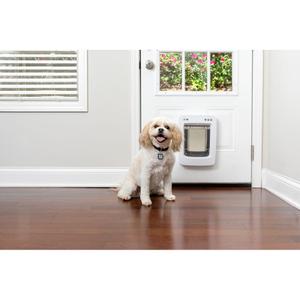 cy0418-chatiere-connectee-pour-chien-petsafe-smartdoor-blanc-m