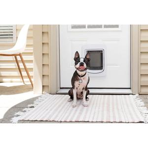 product/p/e/petsafe_cy0418_4.jpg