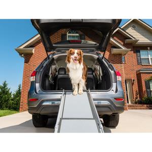product/p/e/petsafe_cy1294_2.jpg