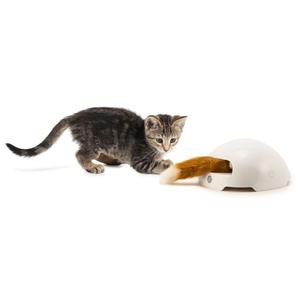 product/p/e/petsafe_cy2221_1.jpg