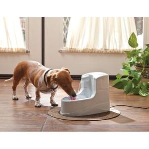 product/p/e/petsafe_cy2626_3.jpg