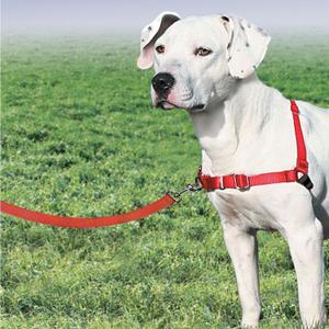 product/p/e/petsafe_cy3117_2.jpg