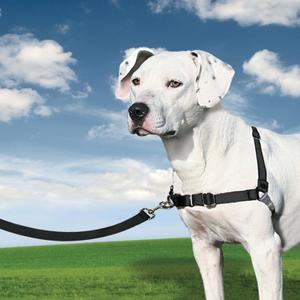 product/p/e/petsafe_cy3335_2.jpg
