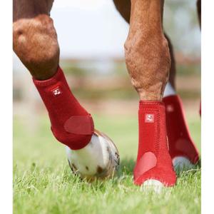 product/p/r/premier-equine_1029xlr_2.jpg