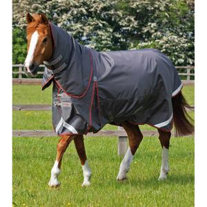 product/p/r/premier-equine_205950g_1.jpg