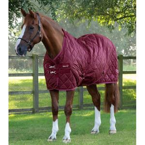 product/p/r/premier-equine_207250brg_1.jpg