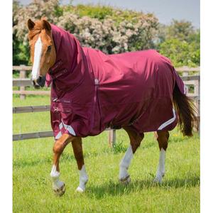 215750brg-couverture-d-exterieur-impermeable-pour-cheval-avec-couvre-cou-premier-equine-buster-storm-classic-90-g-burgundy