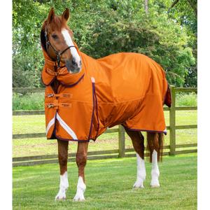 220850-220873-couverture-d-exterieur-impermeable-pour-cheval-avec-couvre-cou-premier-equine-buster-combo-200g-burnt-orange