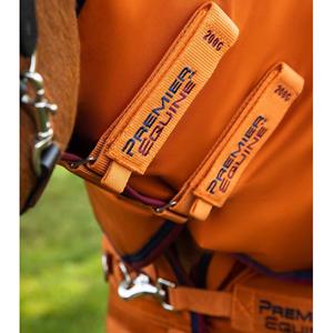 product/p/r/premier-equine_220850bo_burnt-orange_3.jpg