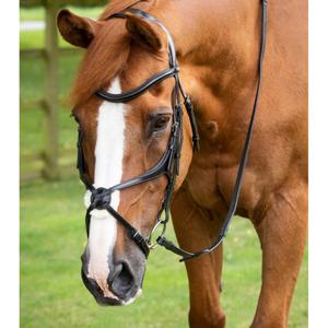 8016-p-8016-xf-bridon-muserolle-croisee-premier-equine-glorioso-black