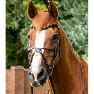 8016-p-8016-xf-bridon-muserolle-croisee-premier-equine-glorioso-dark-brown