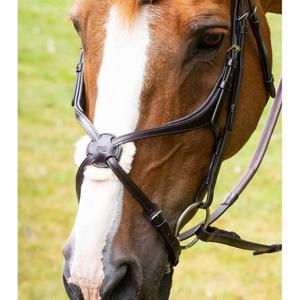 8100pbrw-muserolle-croisee-premier-equine-glorioso-mexican-brown