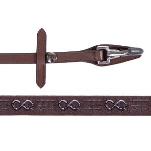 p712-br-renes-pour-cheval-avec-clip-presteq-faysport-bruin-argente