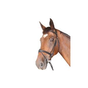 161122-noir-bridons-equitation-combine-privilege-equitation-cabourg-black