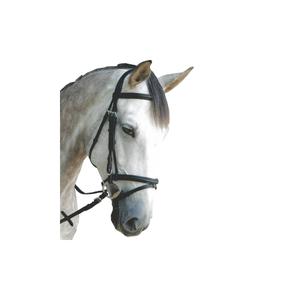 161123-marron-bridons-equitation-combine-privilege-equitation-royan-marron