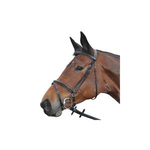 161124-noir-bridons-equitation-privilege-equitation-nice-noir
