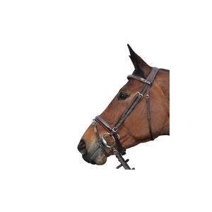 161134-marron-bridons-equitation-privilege-equitation-cannes-marron