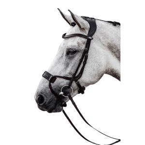 1210-007-995-bridon-equitation-ps-of-sweden-high-jump-black-leather