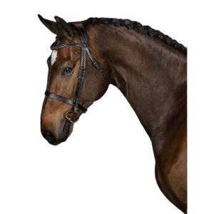 1210-016-995-bridon-equitation-ps-of-sweden-wellington-black-leather
